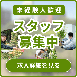 未経験大歓迎 スタッフ募集中 求人詳細を見る
