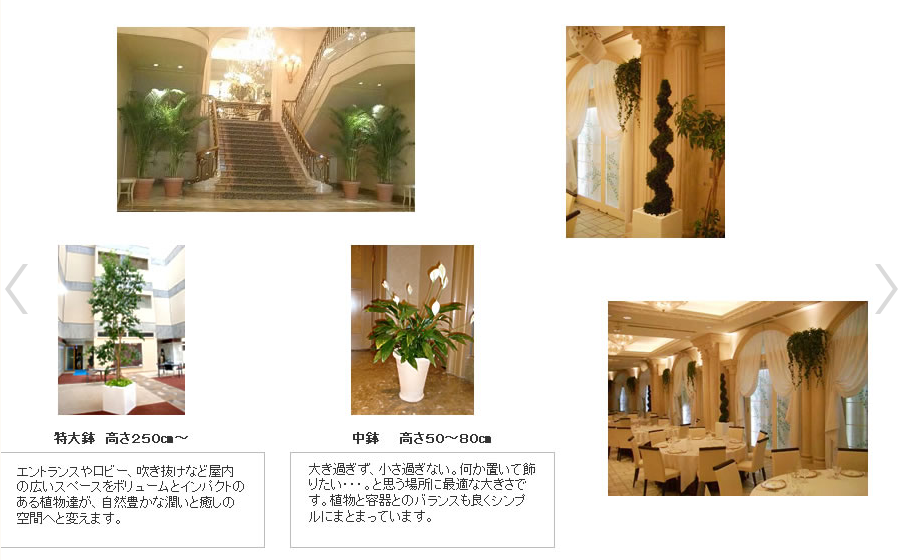 参考になるオフィスでの観葉植物レイアウト事例