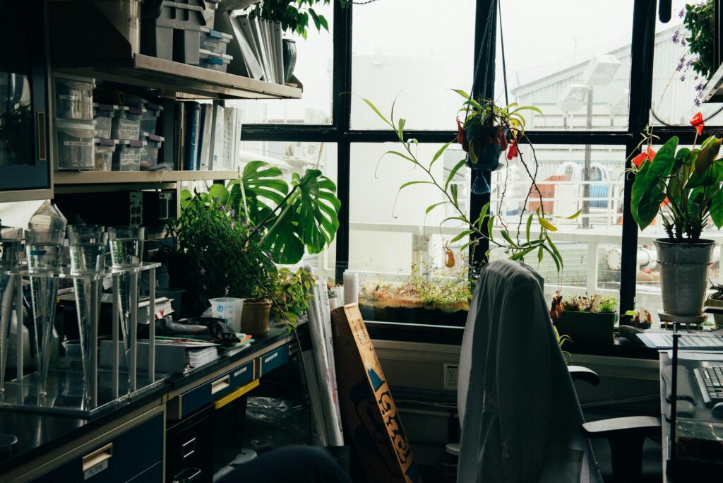 オフィスでの観葉植物のレイアウト方法4選