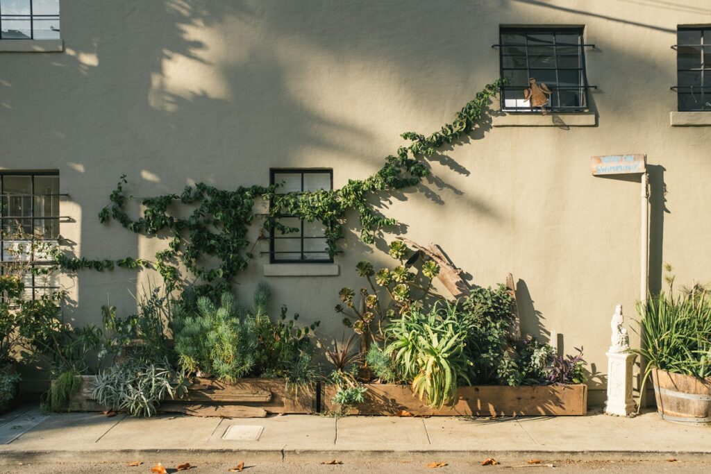 オフィスにおすすめの大型観葉植物3選！選ぶ際の3つのポイントもご紹介