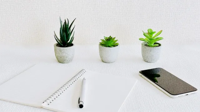 オフィスデスクにおすすめな観葉植物10選｜手入れのポイントや選び方も解説