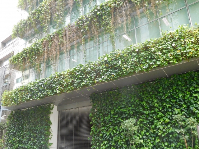 壁面緑化の価格相場｜メンテナンスにかかる平均費用やコストを抑える方法も紹介