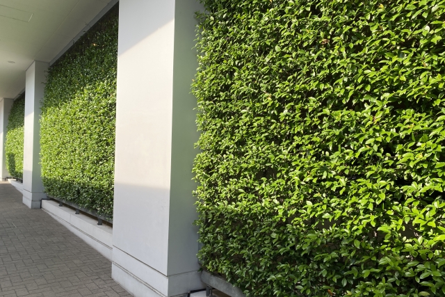 オフィスの壁面緑化の完全ガイド｜費用相場から施工方法まで徹底解説