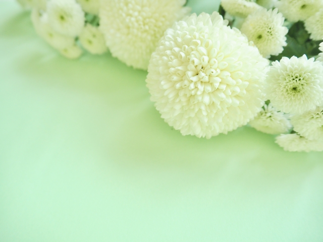 お盆のお供えにおすすめな花の種類とは？タブーな花や基本マナーも