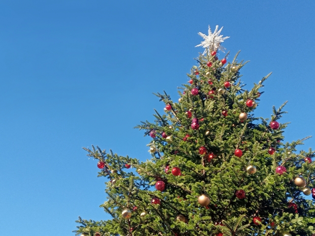 クリスマスツリーのレンタルならウエキ園芸へ！事例や費用相場を紹介